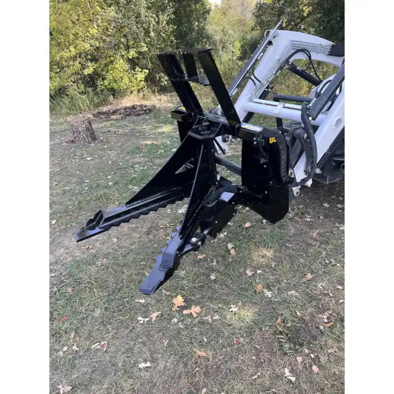 Tree & Stump Removal