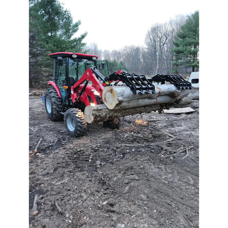 Forestry & Timber