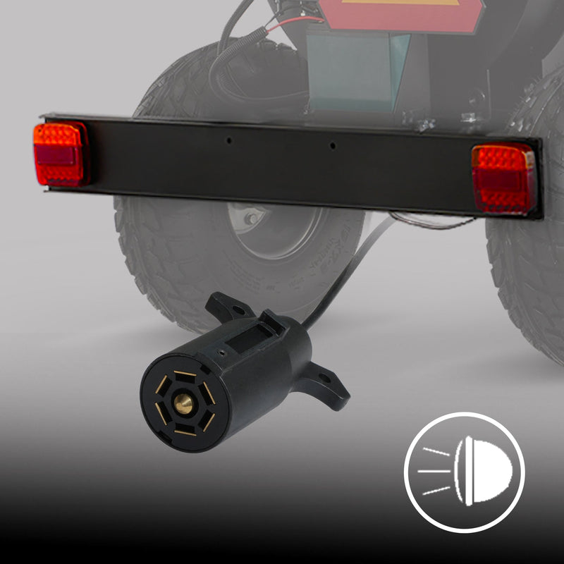 Tail Light and Plug