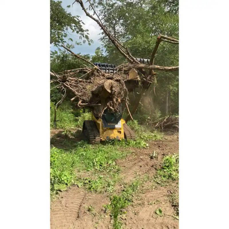 Yellow compact track loader with black steel clam-style grapple holding large uprooted tree with roots in wooded clearing
