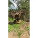 Yellow skid steer with black grapple attachment lifting large uprooted tree with tangled roots in wooded area