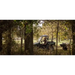 Green utility vehicle towing Swisher 16 cu ft poly cart loaded with materials in wooded outdoor setting, gallery position 1