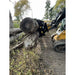 Yellow skid steer loader equipped with black clam grapple attachment lifting large tree logs on dirt surface outdoors