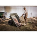 Utility vehicle hitched to Swisher 16 cu ft poly cart tilted dumping fish near water with man and dog, gallery 1