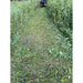 Skid steer brush cutter clearing tall grass and weeds showing cut path and Stinger TF5 attachment afar