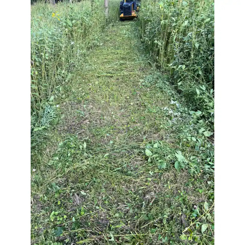 Skid steer brush cutter clearing tall grass and weeds showing cut path and Stinger TF5 attachment afar