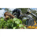 Yellow skid steer with black clam grapple attachment lifting large tree root and soil from dense vegetation