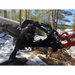 Black skid steer grapple attachment lifting large uprooted tree stump with visible hydraulic cylinders on snowy terrain