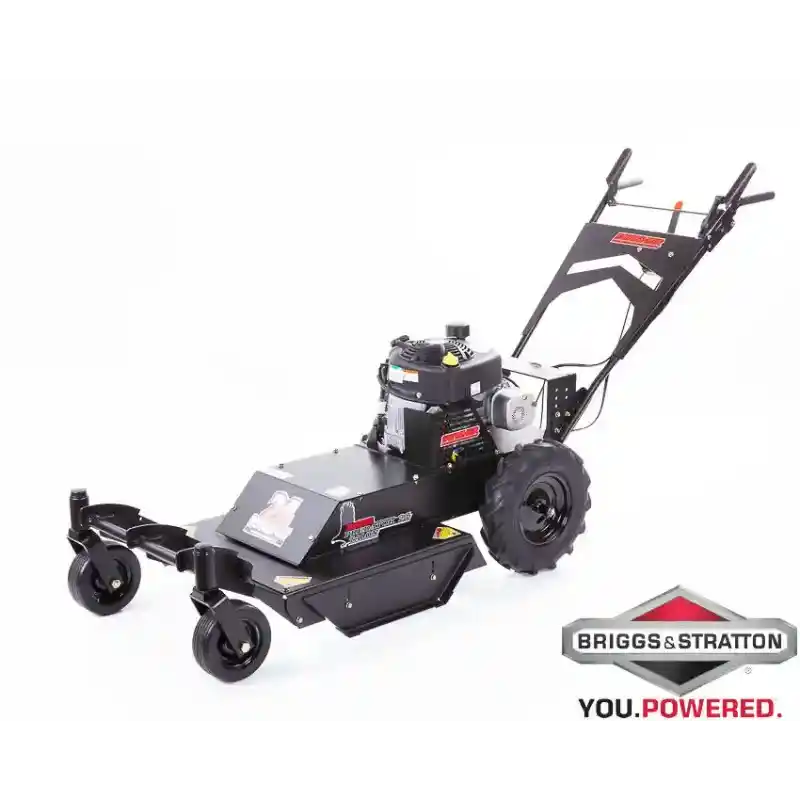 Swisher 24-inch walk-behind rough cut mower with casters and Briggs & Stratton engine, gallery position 1 front view