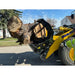 Yellow loader with black hydraulic clam-style grapple holding large cut tree trunk on paved surface
