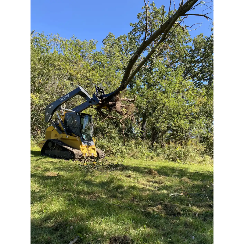Skid steer with Stinger Attachments STP Tree Puller lifting a tree in a wooded area, gallery image 6, 800x800.